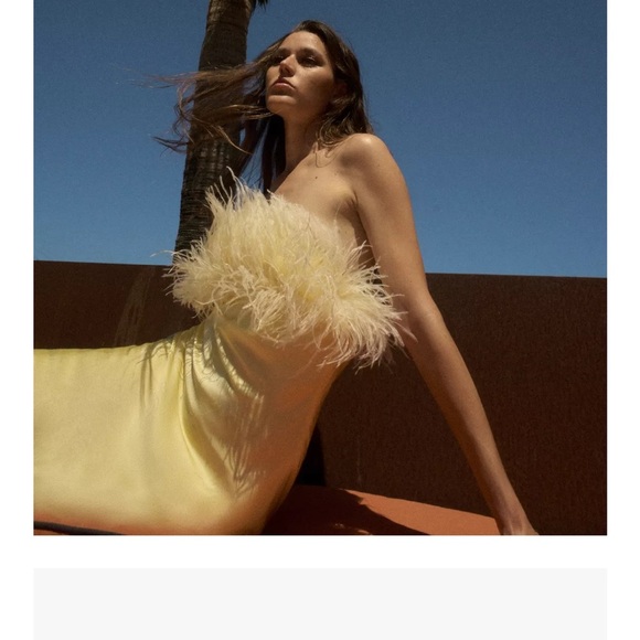 NWT ZARA  VIRAL 2025 COLLECTION FEATHERED SATIN  DRESS SIZE S and L
🚨FIRM PRICE - Picture 9 of 16
